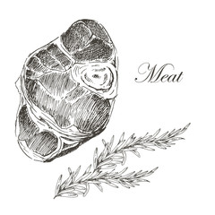vector steak meat hand drawing with pepper and rosemary. detailed ink food illustration