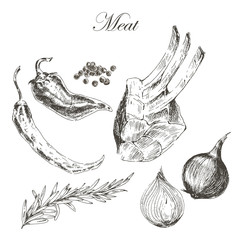 vector steak meat hand drawing with pepper and rosemary. detailed ink food illustration