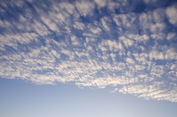 Naklejka na ściany i meble Sky with cumulus clouds high.