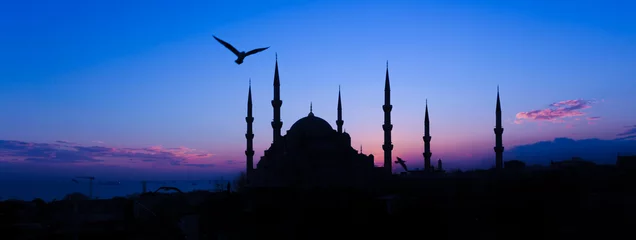 ISTANBUL IN DER TÜRKEI © kanuman