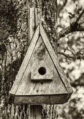 wooden birdhouse