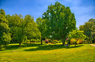 Green grass in a sunny park, Begren op Zoom, Holland, Netherla
