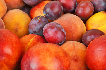 Plum and peach