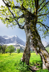 karwendel mountains