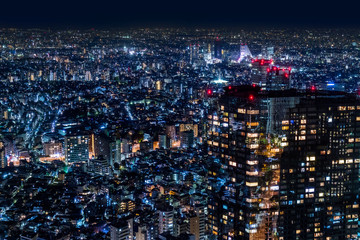 Fototapeta na wymiar 新宿のからの夜景　Night view of the Tokyo Shinjuku