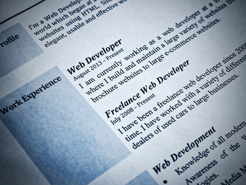 Web Developer Curriculum Vitae