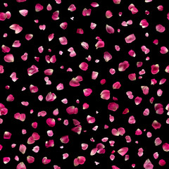 Fototapeta na wymiar repeatable, floating pink rose petals, studio photographed and isolated on absolute black.
