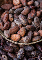 Cacao roasted beans in a bowl