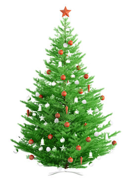 Christmas fir tree isolated 3d render