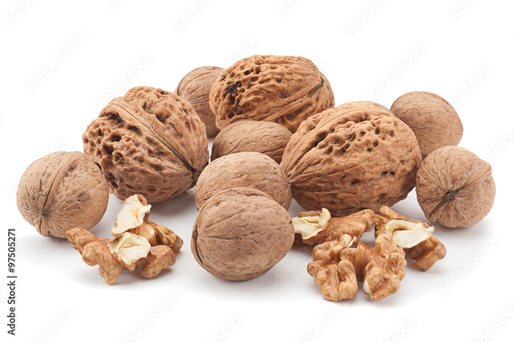 Wall mural walnut fruit on white