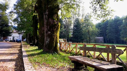 Chair in a mountain near some trees