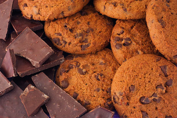 Homemade chocolate chip cookies