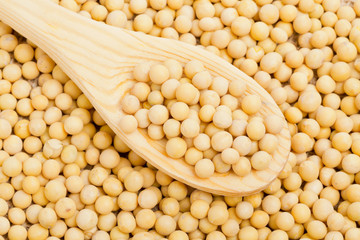 Spoon with dry soybeans