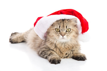 Kitten in Santa Claus xmas red hat on white background...
