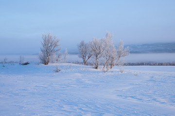Fototapeta na wymiar Morgennebel über einem zugefrorenen See in Schweden