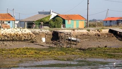 ile d'oléron et côte atlantique près de Royan