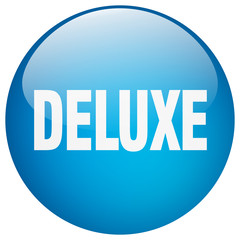 deluxe blue round gel isolated push button