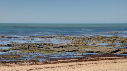ile d'oléron et côte atlantique près de Royan
