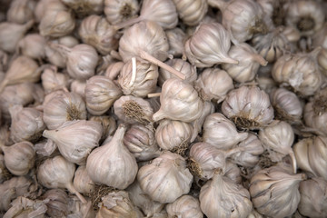 Garlic on the market