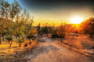 country road at sunset