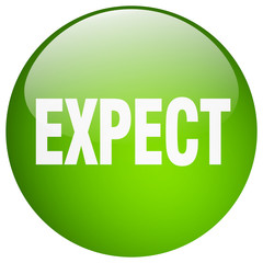 expect green round gel isolated push button