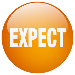 expect orange round gel isolated push button