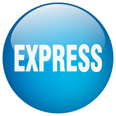 express blue round gel isolated push button