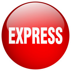 express red round gel isolated push button