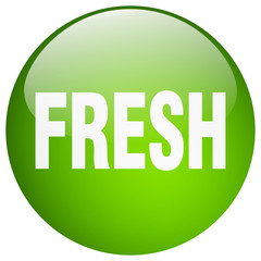 fresh green round gel isolated push button