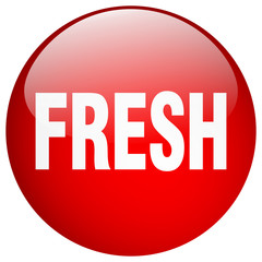 fresh red round gel isolated push button
