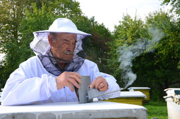 pszczelarz w pasiece odymia pszczoły przeciwko chorobom