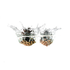 Pine cone splash on water, isolated on white background