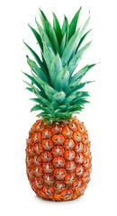 Fototapeta premium Ripe whole tasty pineapple close-up isolated on a white background.