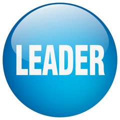 leader blue round gel isolated push button