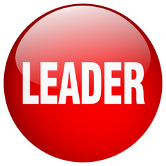 leader red round gel isolated push button