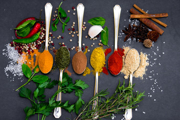 Kräuter und Gewürze