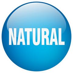 natural blue round gel isolated push button