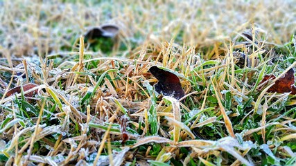 Зимнее утро