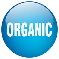 organic blue round gel isolated push button