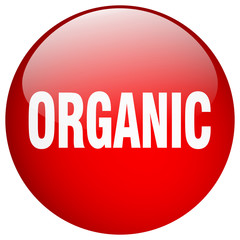 organic red round gel isolated push button