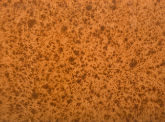 Blank Natural Old Paper Texture With Spots.