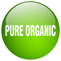 pure organic green round gel isolated push button