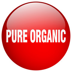 pure organic red round gel isolated push button