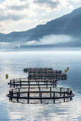 Cages for fish farming