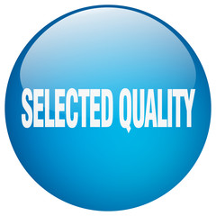 selected quality blue round gel isolated push button