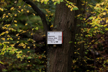 Wanderweg Beschilderung im Harz