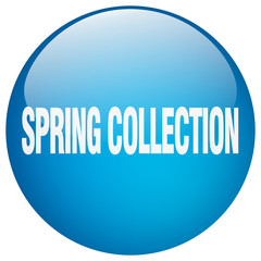 spring collection blue round gel isolated push button
