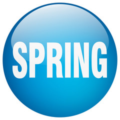 spring blue round gel isolated push button