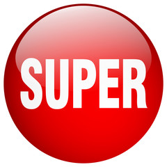 super red round gel isolated push button