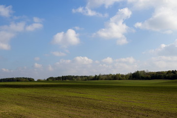 Obraz premium Clouds over a green field